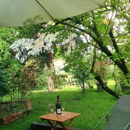 Avec Jardin, Terrasse Et Confort A - Fr-1-496-293 Saint-Galmier